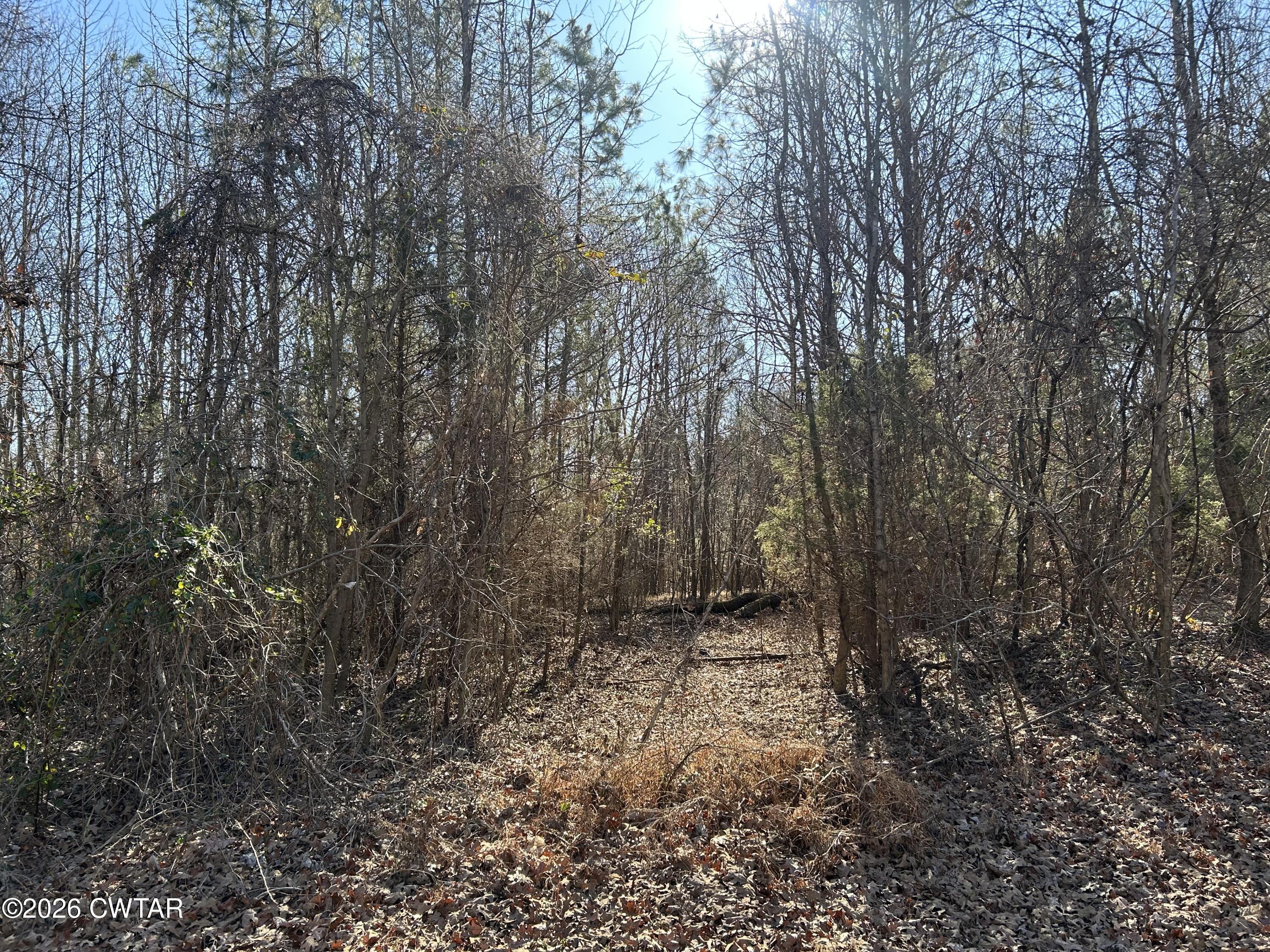 0 Blairs Chapel Road Jackson, TN 38301 - Photo 2 of 4 a view of backyard with green space