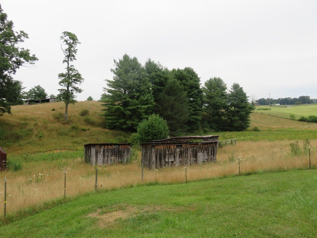 1905 Keno Road Fancy Gap, VA 24328 - Photo 21 of 46 Gallery Image 21