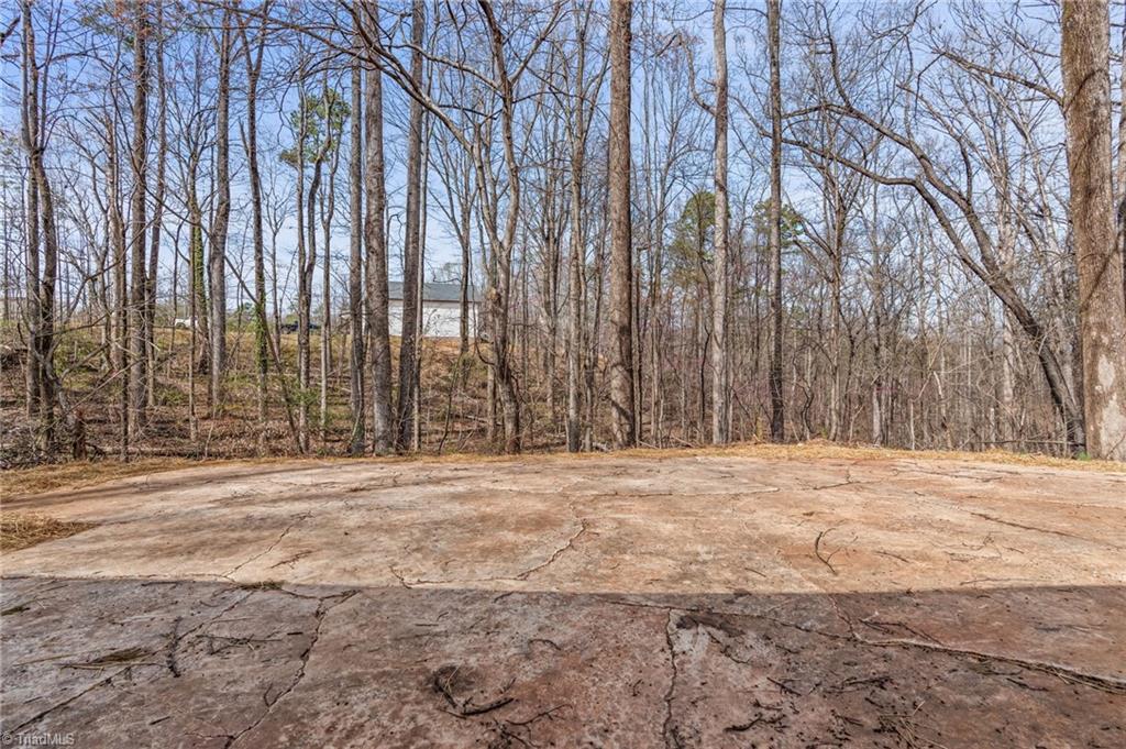 1051 Payne Road King, NC 27021 - Photo 40 of 50