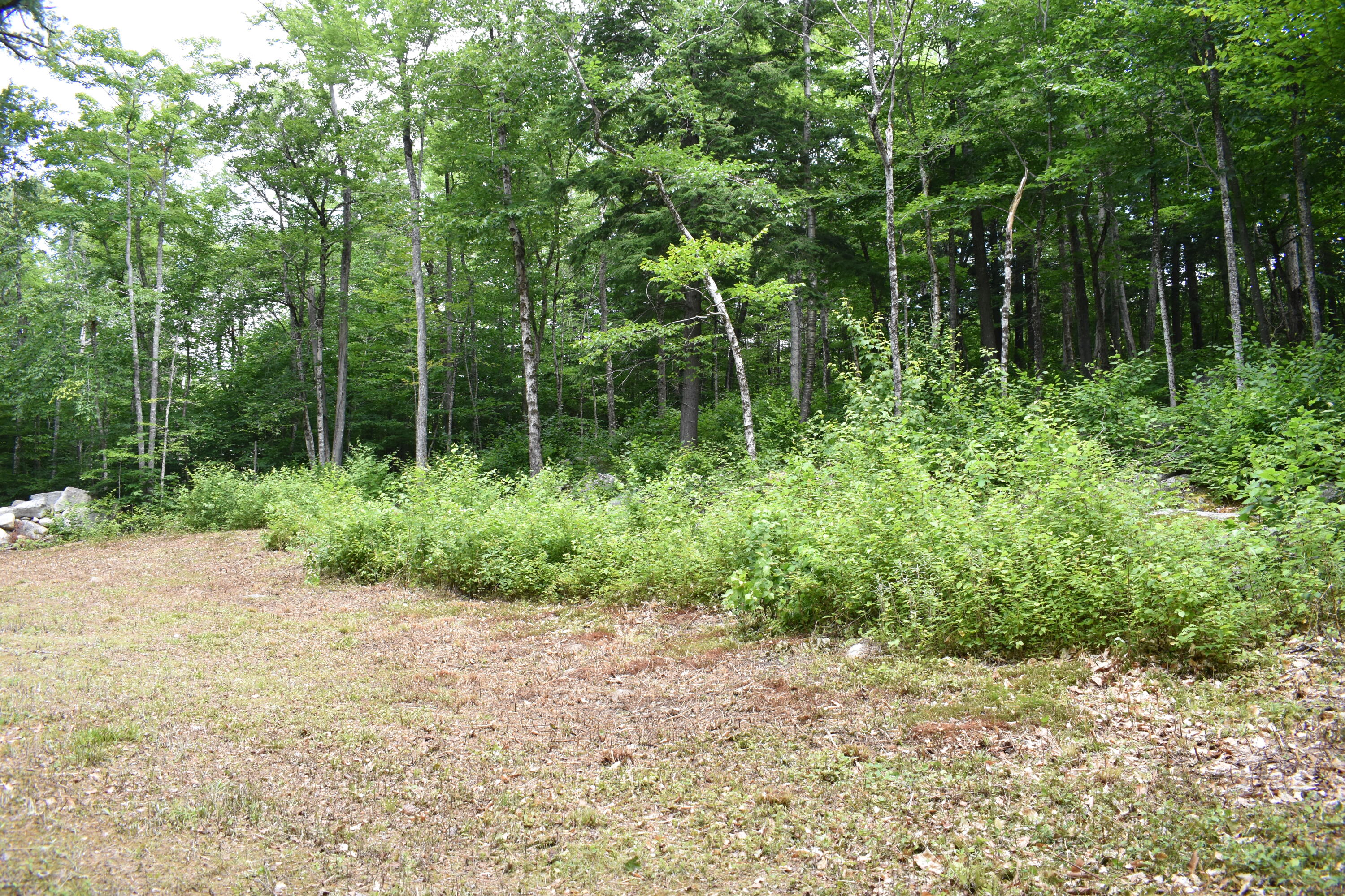 Tbd Bluff Road Enfield, ME 04493 - Photo 10 of 16 DSC_0382