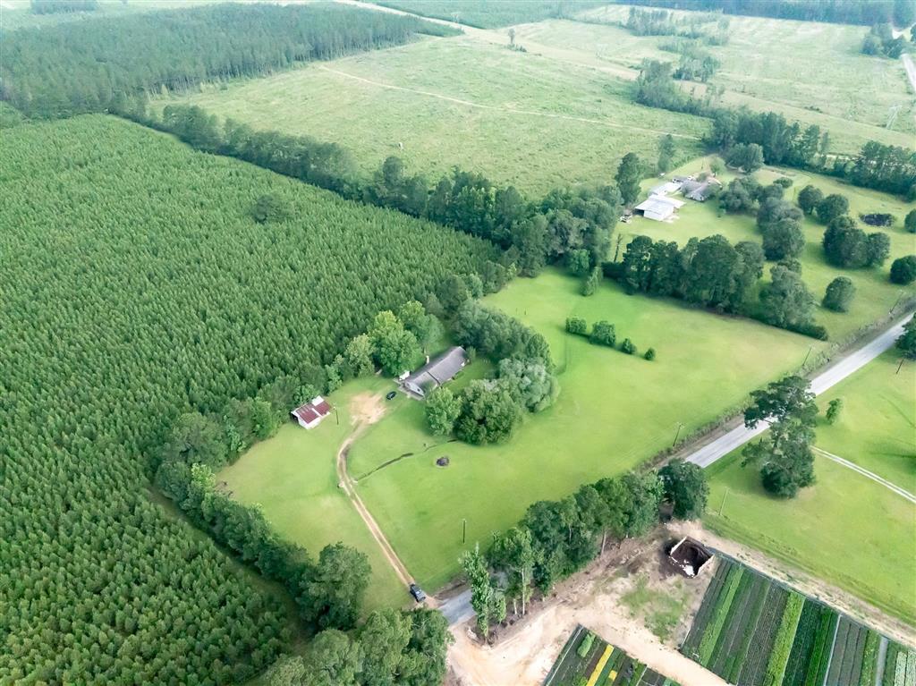 1874 Evangeline Road Glenmora, LA 71433 - Photo 26 of 30