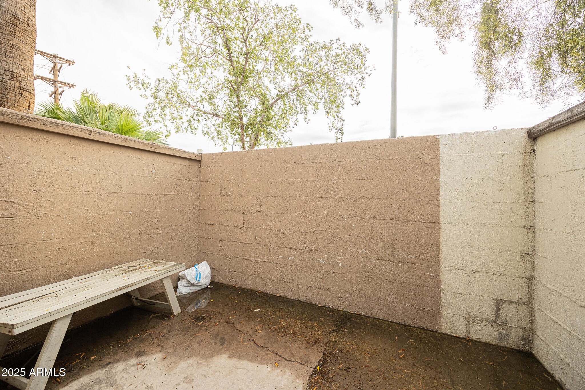 2352 East Broadway Road, Unit A Mesa, AZ 85204 - Photo 12 of 14 a bathroom with a sink and a toilet