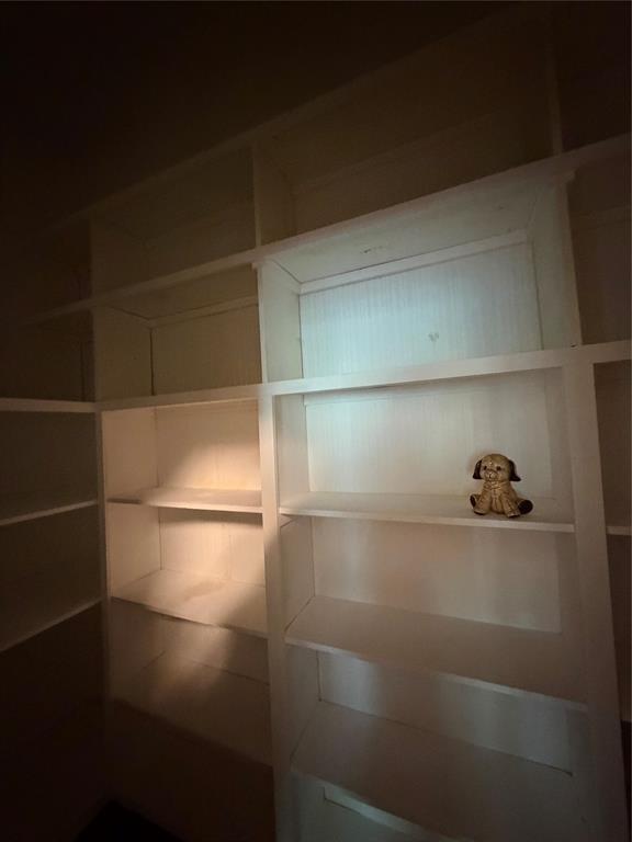 257 West Acres Road Gun Barrel City, TX 75156 - Photo 22 of 22 a close view of a closet