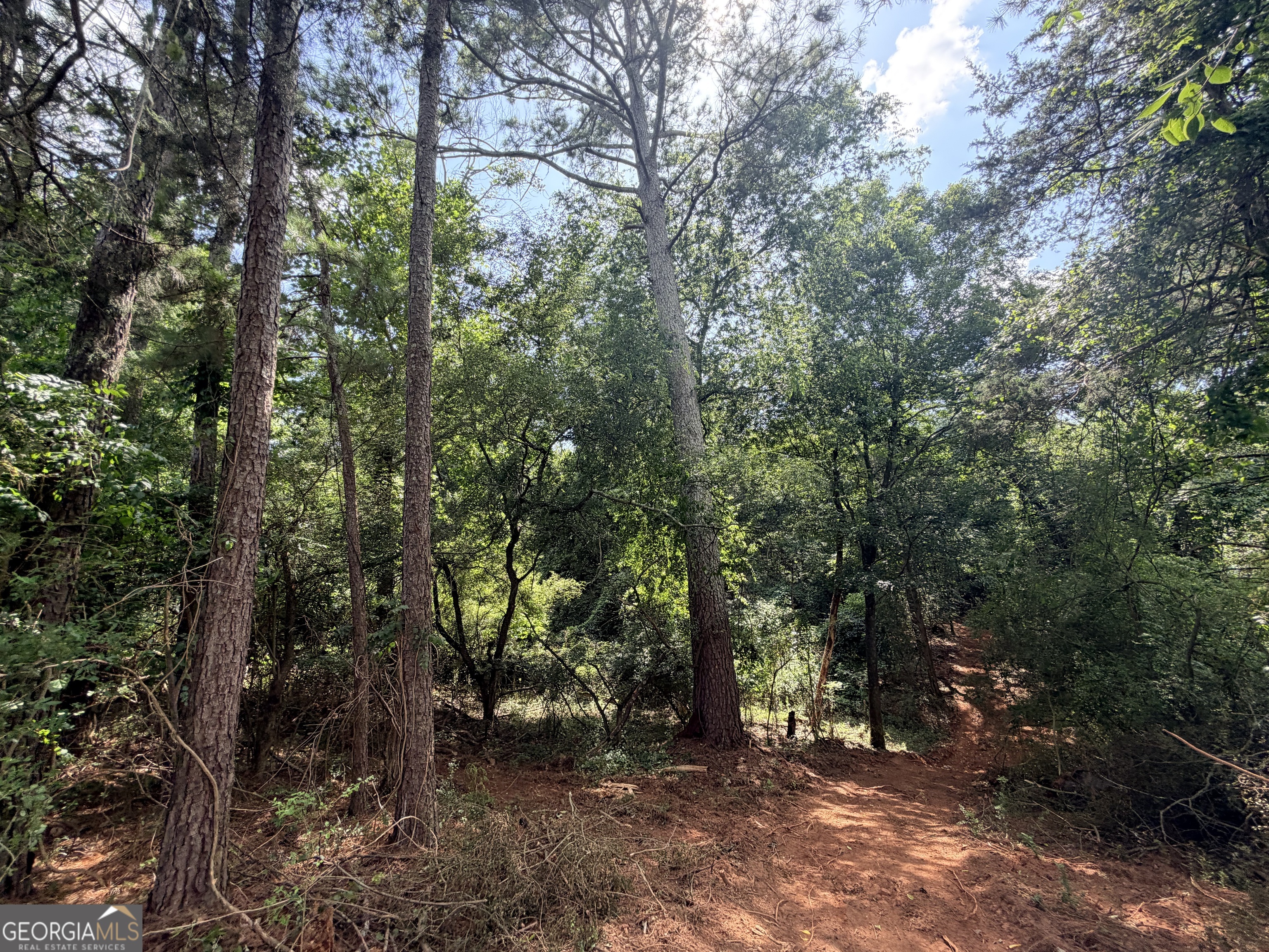 1590 James Adams Road Danielsville, GA 30633 - Photo 12 of 98