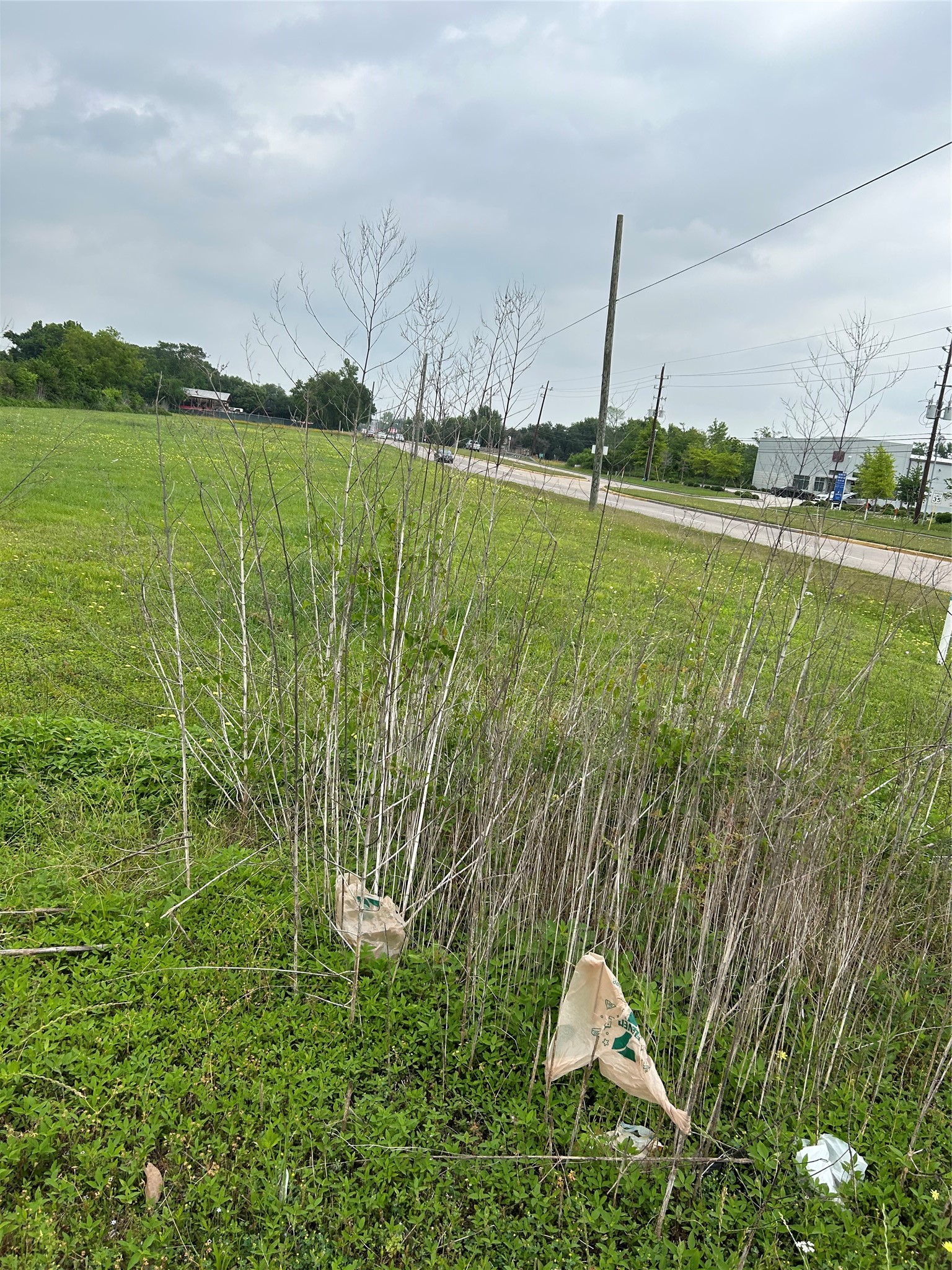 0 Bammel North Houston Road Houston, TX 77066 - Photo 2 of 3 a view of a garden with a lake