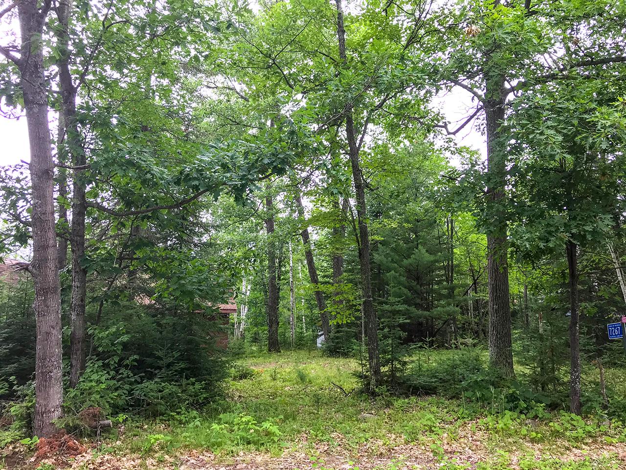 7267 Bluegill Lake Road Lake Tomahawk, WI 54539 - Photo 18 of 23 Gallery Image 18