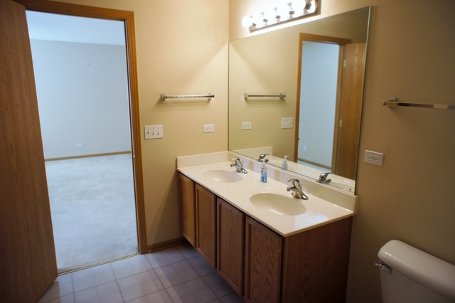 729 Periwinkle Lane Aurora, IL 60504 - Photo 11 of 15 a bathroom with a sink and a mirror