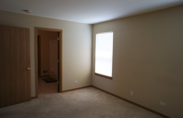 729 Periwinkle Lane Aurora, IL 60504 - Photo 8 of 15 an empty room with windows