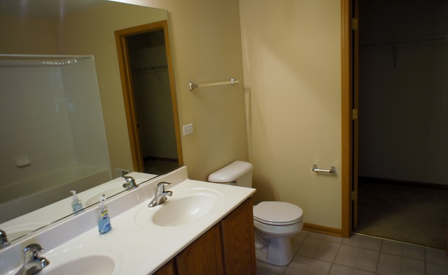 729 Periwinkle Lane Aurora, IL 60504 - Photo 9 of 15 a bathroom with a sink a toilet and shower