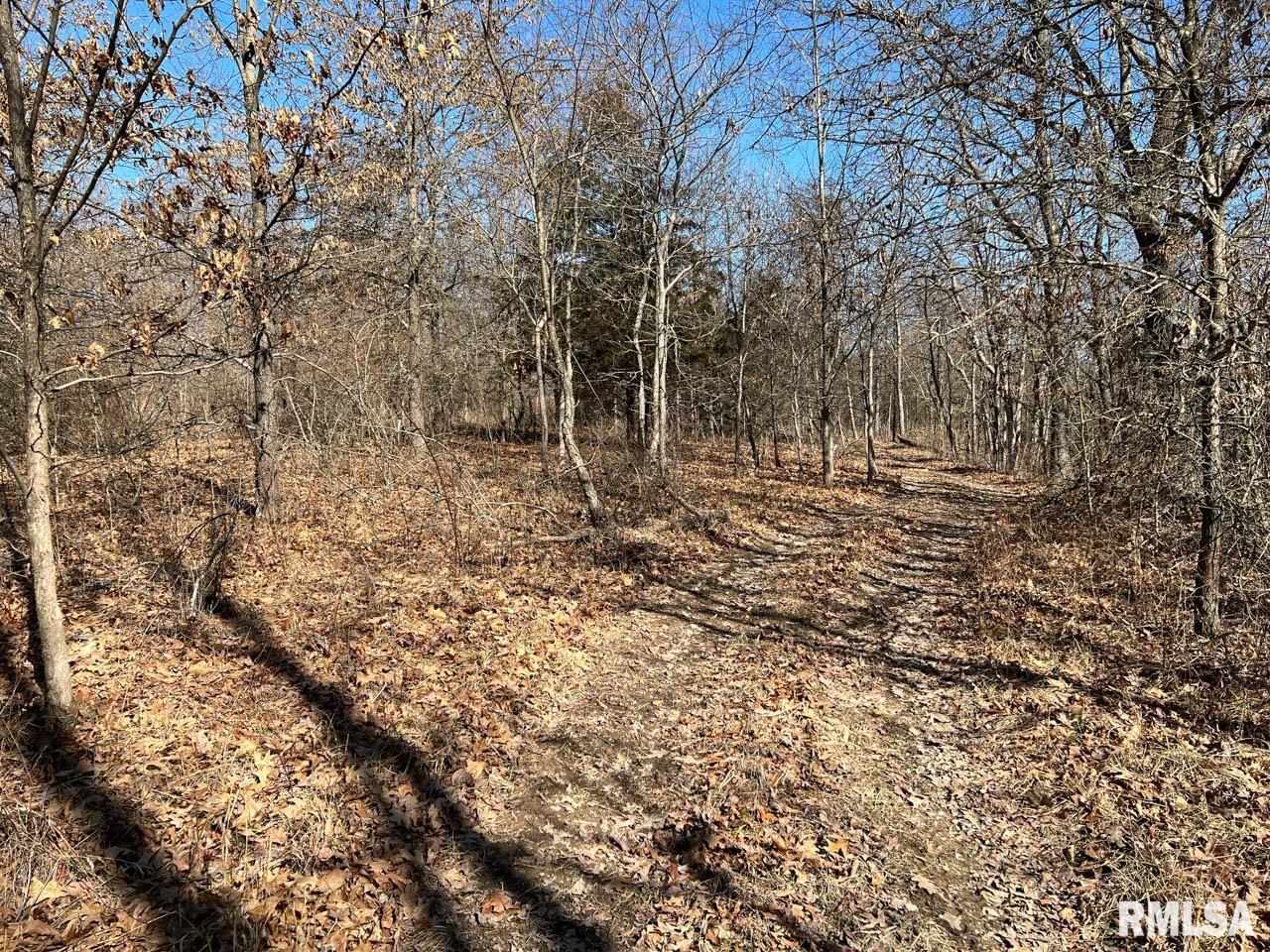 8200 Center Ridge Road Plymouth, IL 62367 - Photo 11 of 41