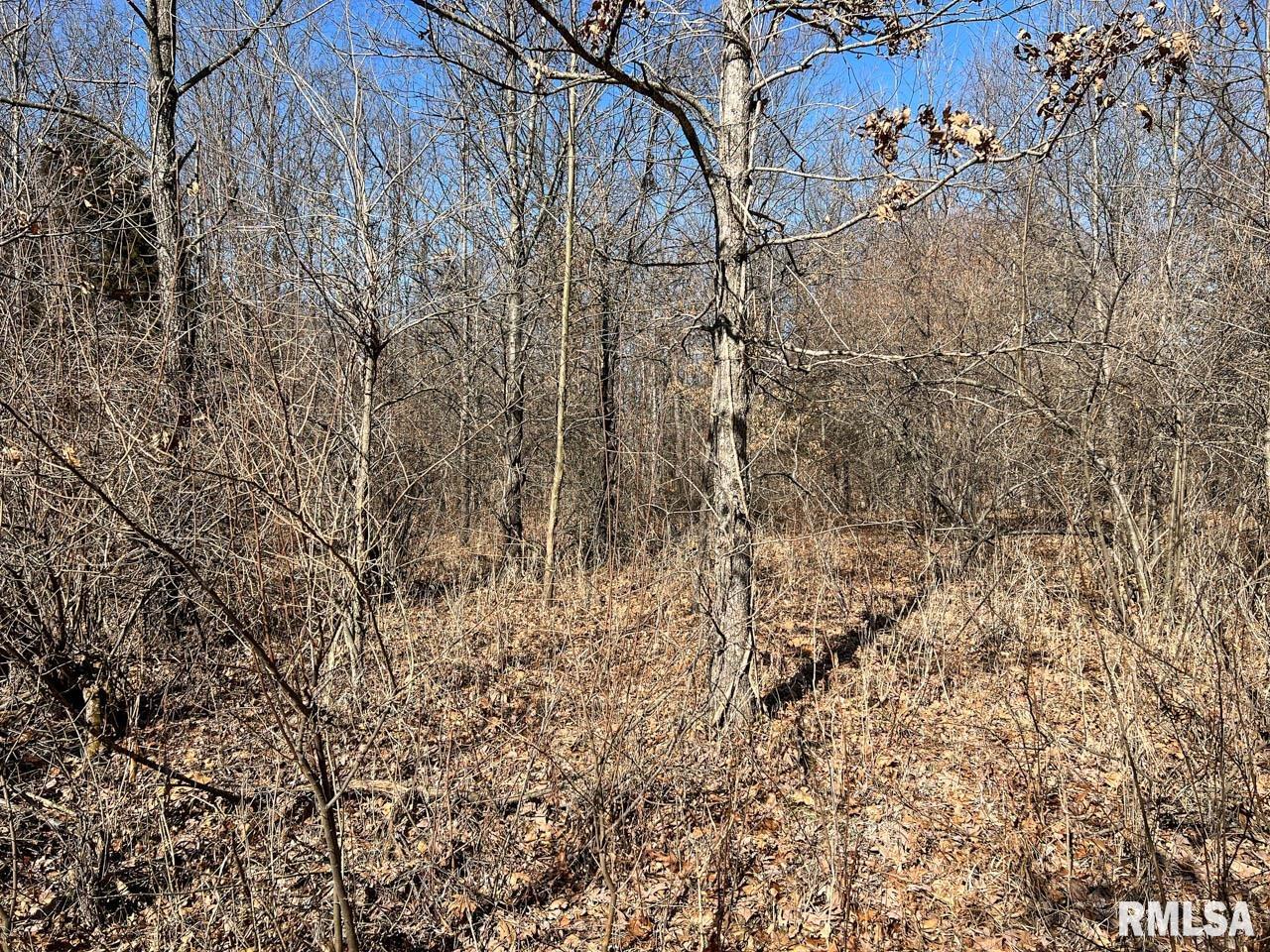 8200 Center Ridge Road Plymouth, IL 62367 - Photo 13 of 41