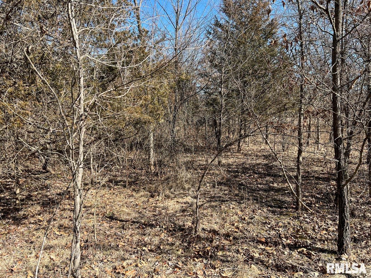 8200 Center Ridge Road Plymouth, IL 62367 - Photo 21 of 41