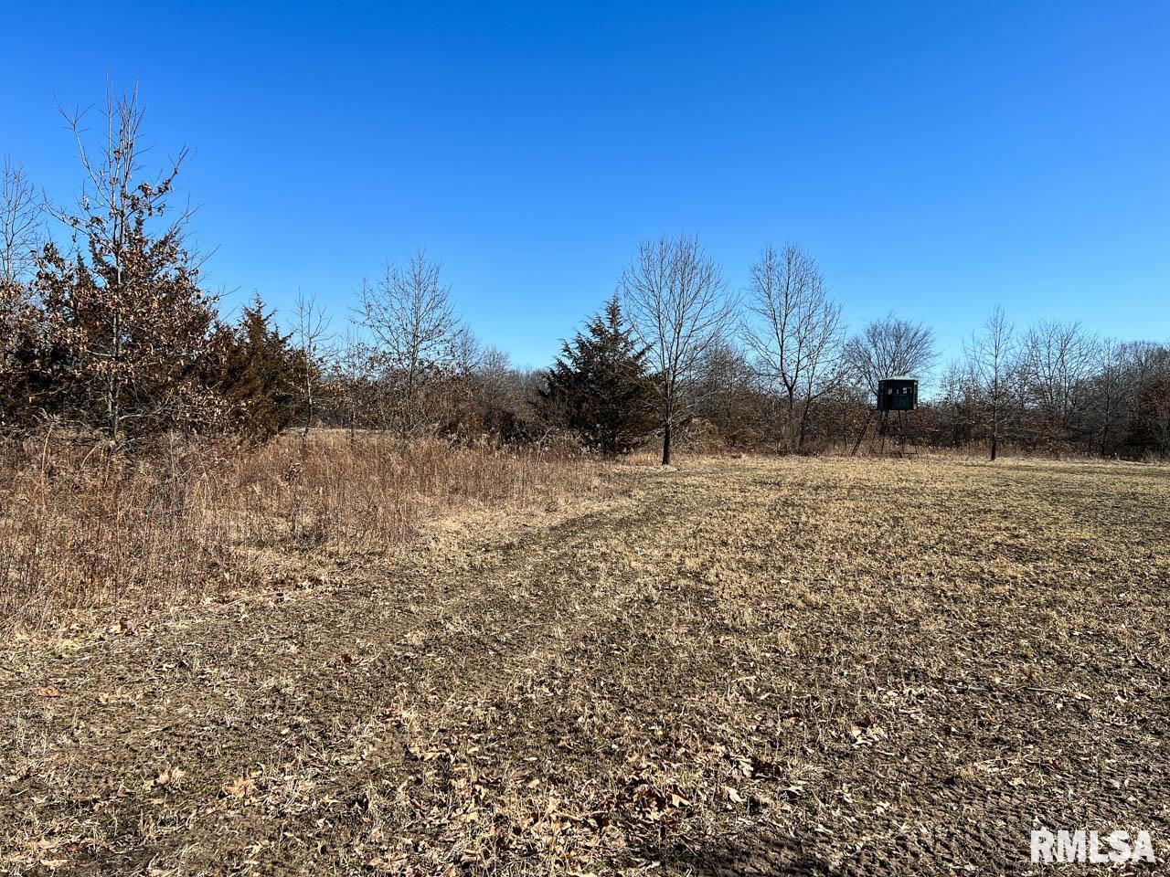 8200 Center Ridge Road Plymouth, IL 62367 - Photo 23 of 41