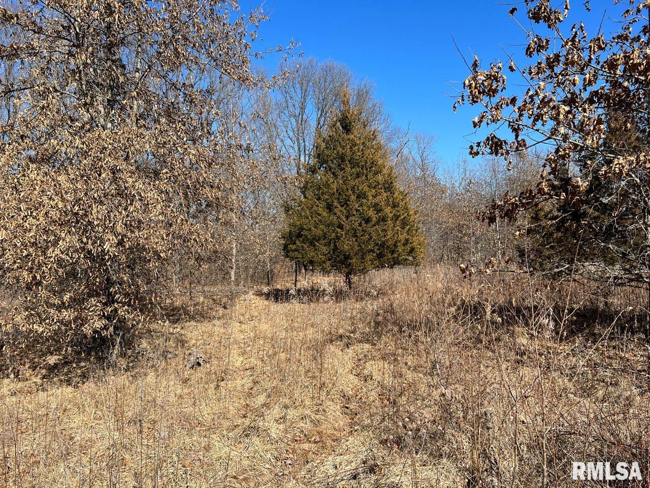 8200 Center Ridge Road Plymouth, IL 62367 - Photo 24 of 41