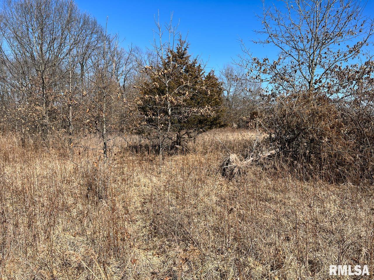 8200 Center Ridge Road Plymouth, IL 62367 - Photo 25 of 41