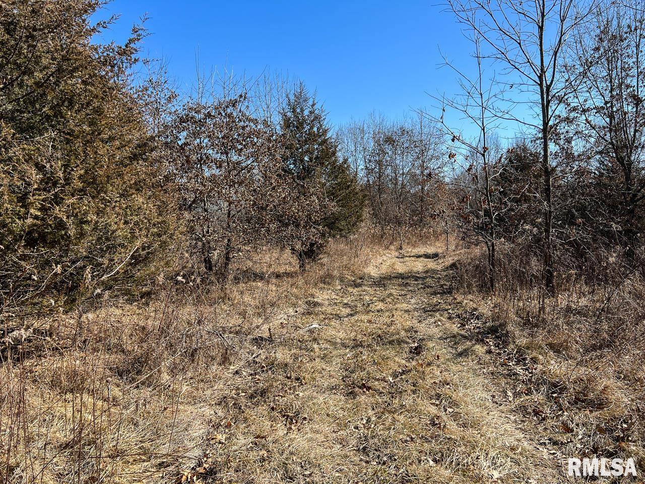 8200 Center Ridge Road Plymouth, IL 62367 - Photo 29 of 41