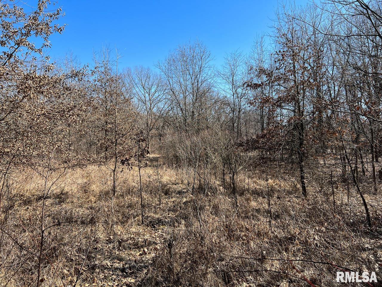 8200 Center Ridge Road Plymouth, IL 62367 - Photo 30 of 41