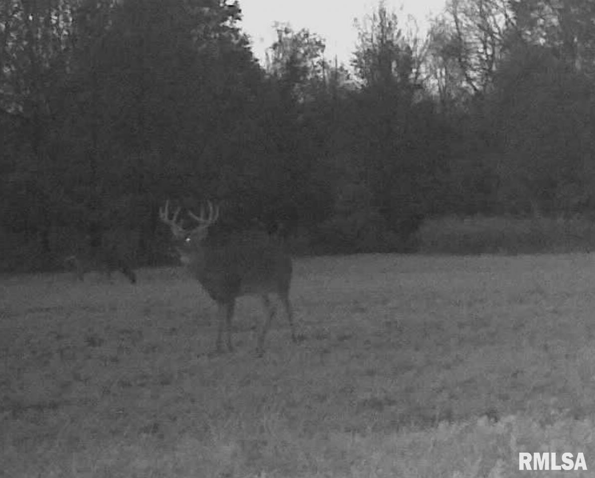 8200 Center Ridge Road Plymouth, IL 62367 - Photo 35 of 41