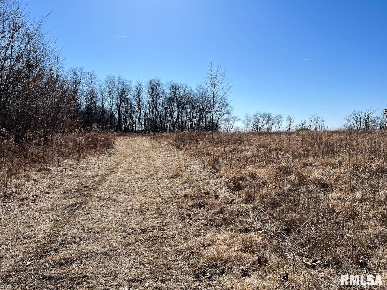 8200 Center Ridge Road Plymouth, IL 62367 - Photo 4 of 41