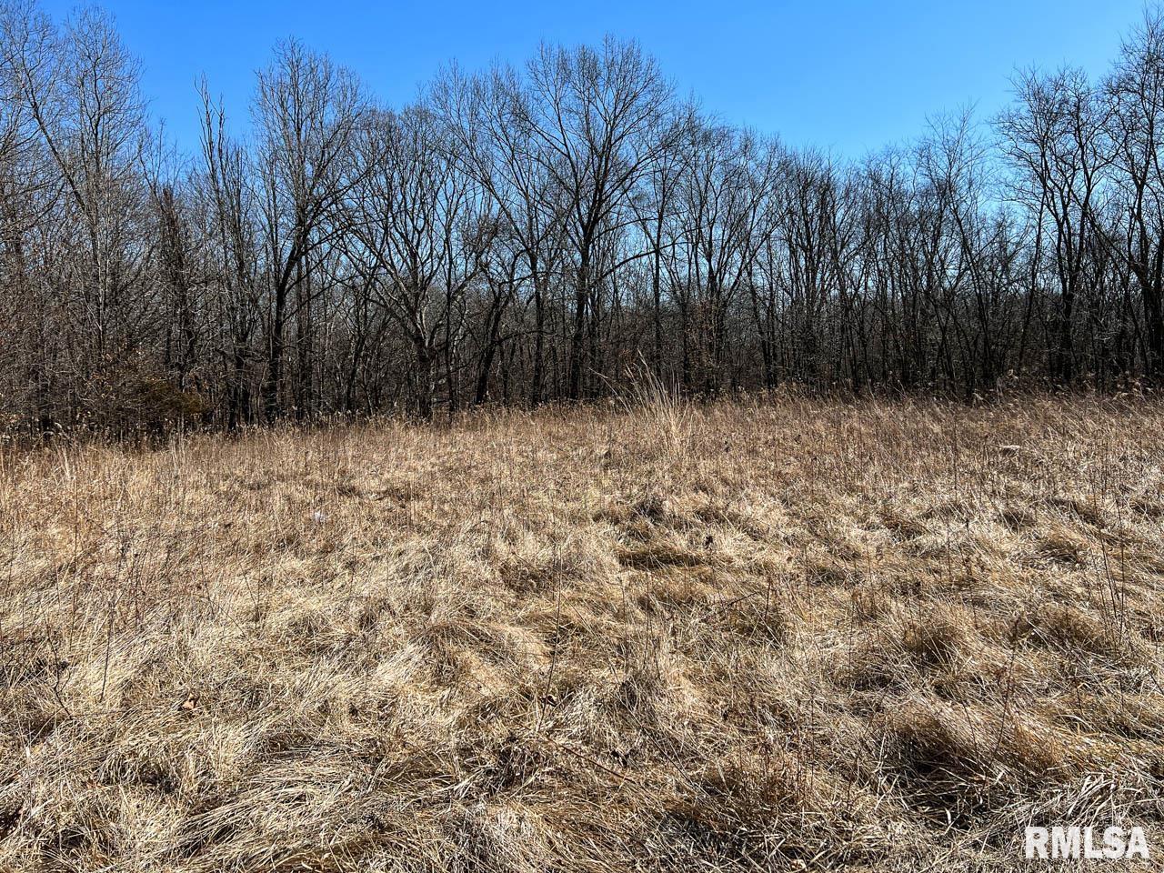 8200 Center Ridge Road Plymouth, IL 62367 - Photo 5 of 41