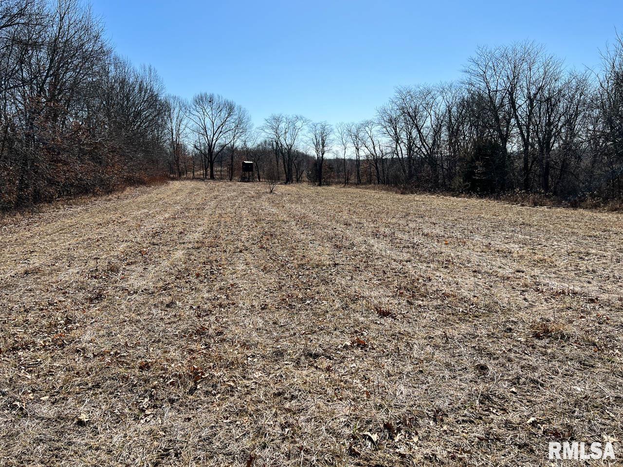 8200 Center Ridge Road Plymouth, IL 62367 - Photo 7 of 41