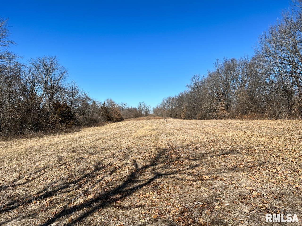 8200 Center Ridge Road Plymouth, IL 62367 - Photo 9 of 41