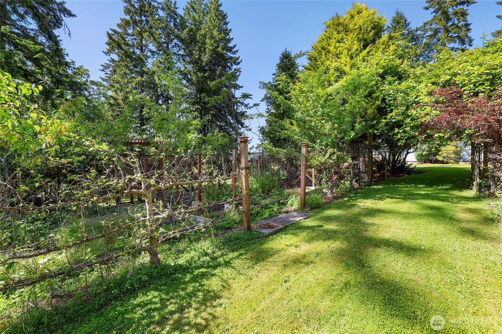 8041 Zangle Road Northeast Olympia, WA 98506 - Photo 37 of 40 Gallery Image 37
