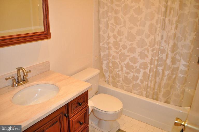 12101 Gold Ribbon Way Columbia, MD 21044 - Photo 11 of 29 The hall bath has been beautifully updated.