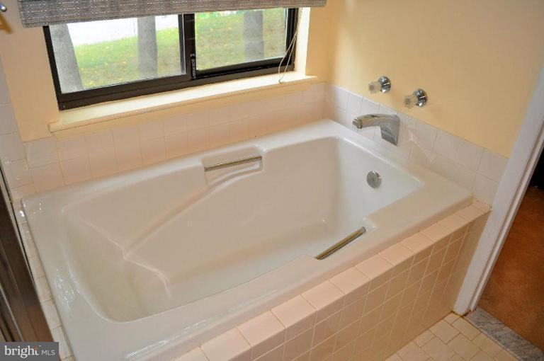 12101 Gold Ribbon Way Columbia, MD 21044 - Photo 8 of 29 Master Bath has soaking tub and separate shower