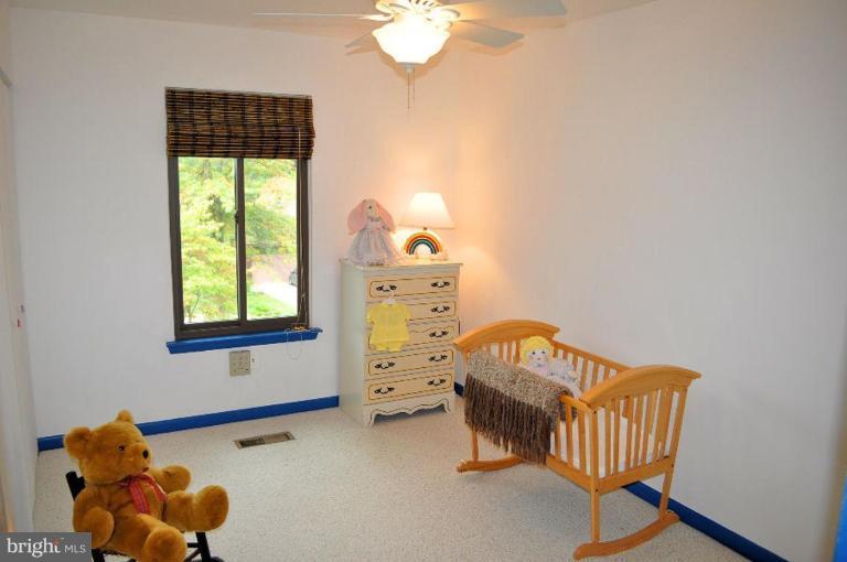 12101 Gold Ribbon Way Columbia, MD 21044 - Photo 10 of 29 Bedroom #4