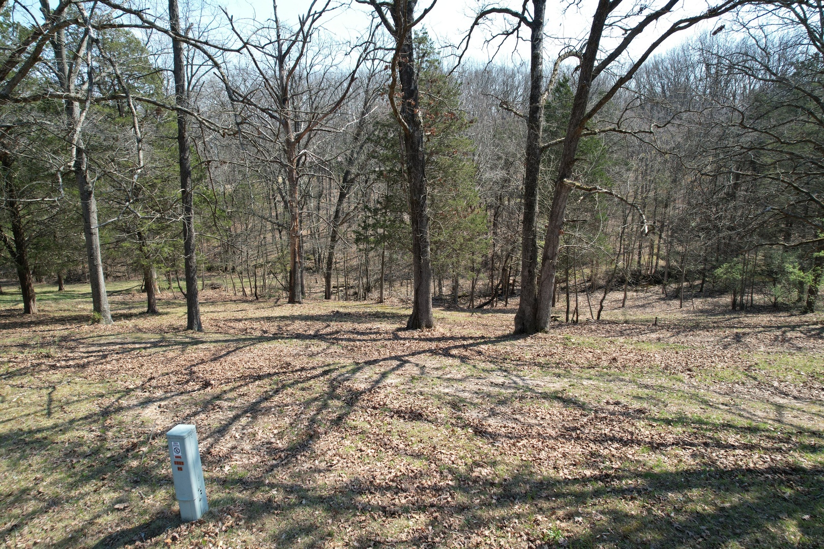 Tbd Clifty Heights Road Marion, IL 62959 - Photo 15 of 17