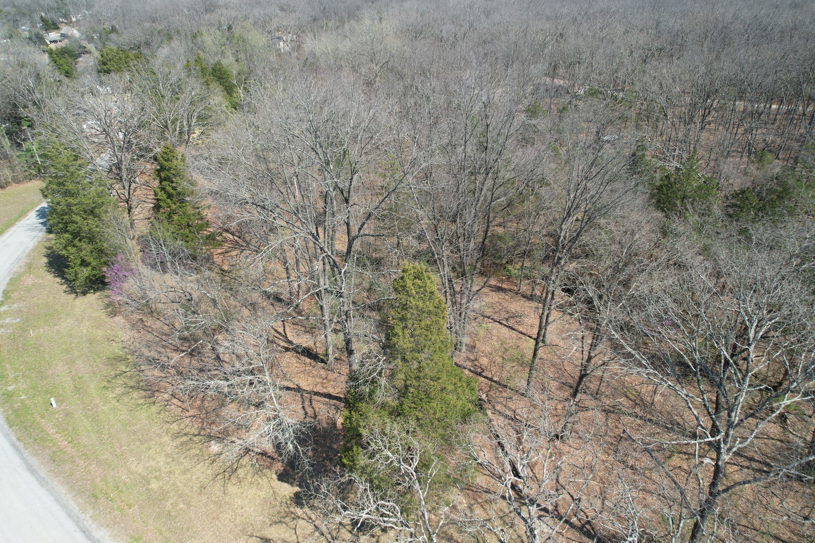 Tbd Clifty Heights Road Marion, IL 62959 - Photo 5 of 17