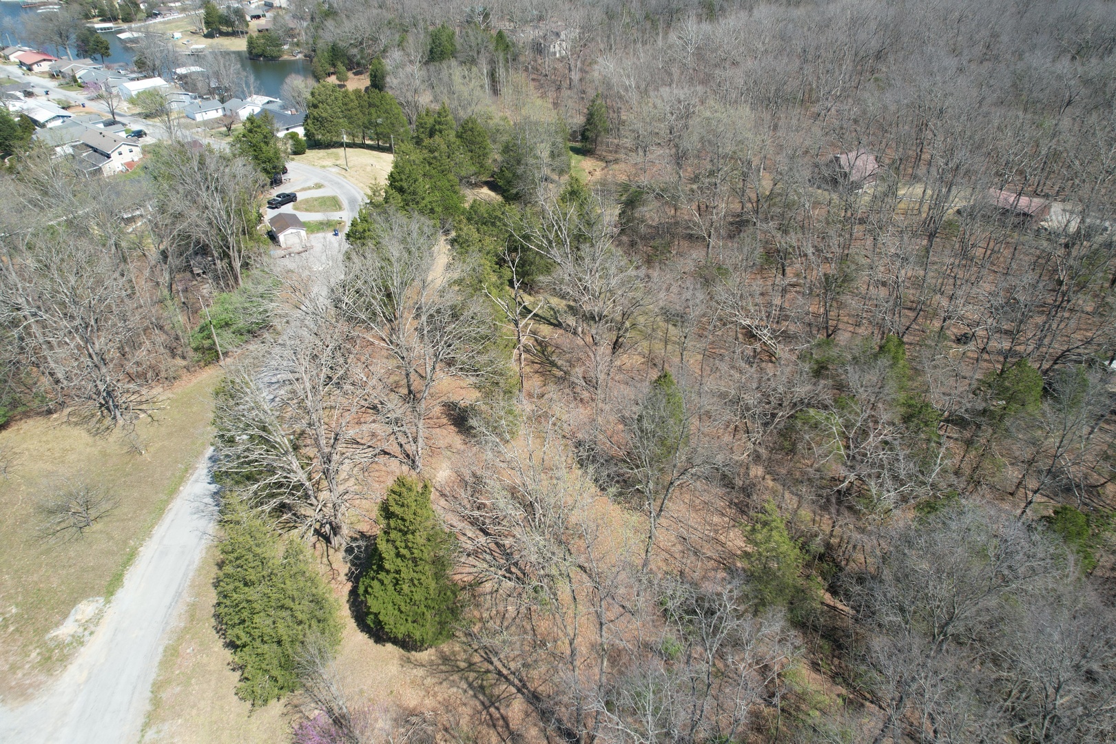 Tbd Clifty Heights Road Marion, IL 62959 - Photo 7 of 17