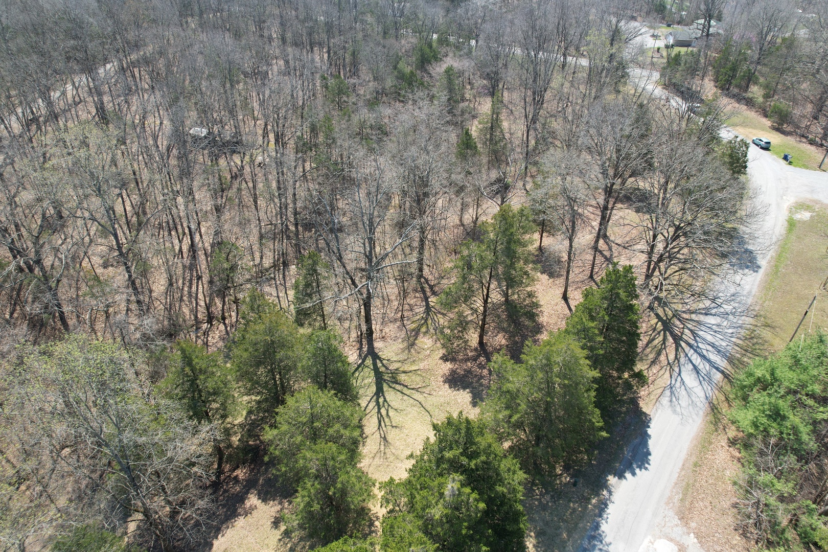 Tbd Clifty Heights Road Marion, IL 62959 - Photo 9 of 17