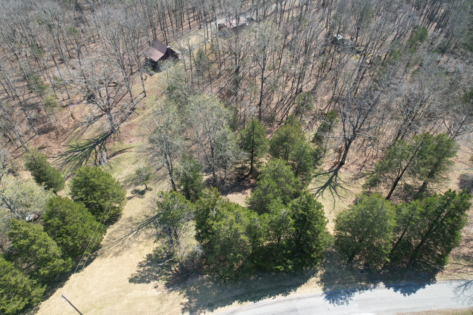 Tbd Clifty Heights Road Marion, IL 62959 - Photo 10 of 17