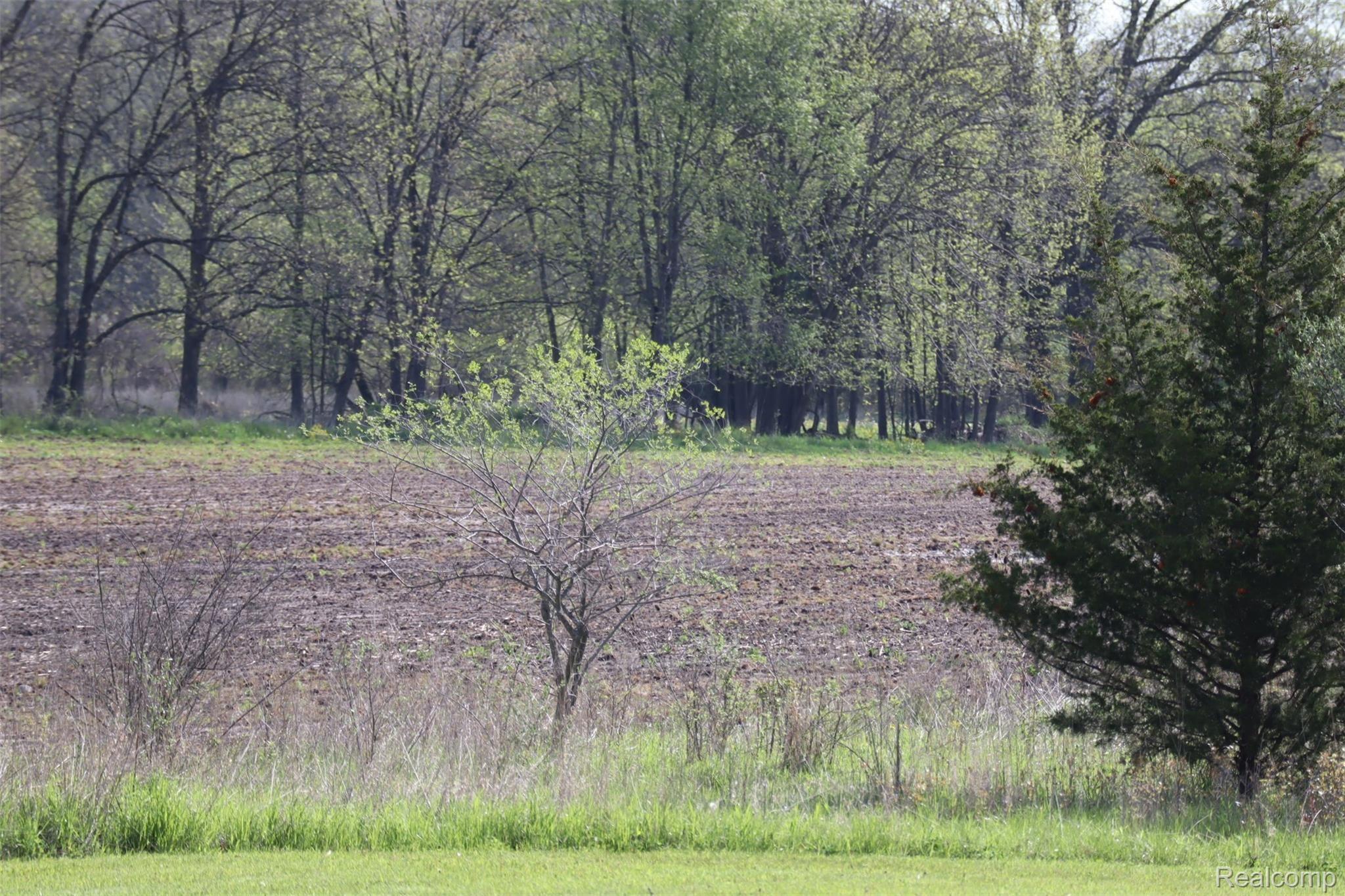 3390 North Burkhart Road Howell, MI 48855 - Photo 33 of 70 IMG_1458.JPG