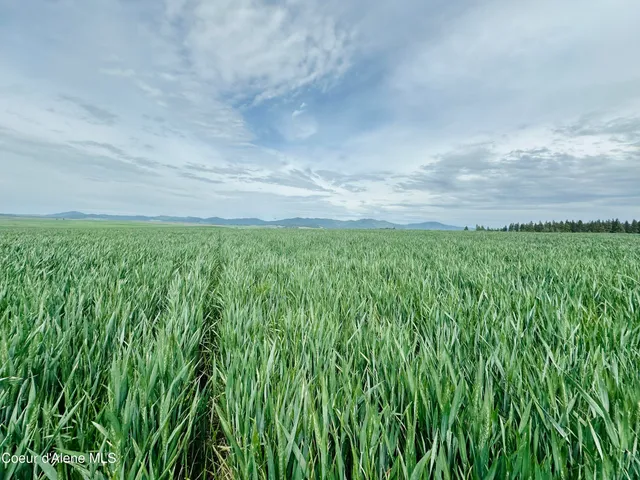 $175,000 | 783 Old Mills Road, Tensed, ID 83870