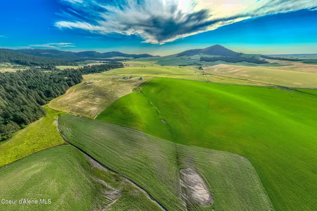 $175,000 | 783 Old Mills Road, Tensed, ID 83870