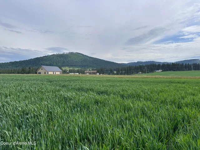 $175,000 | 783 Old Mills Road, Tensed, ID 83870