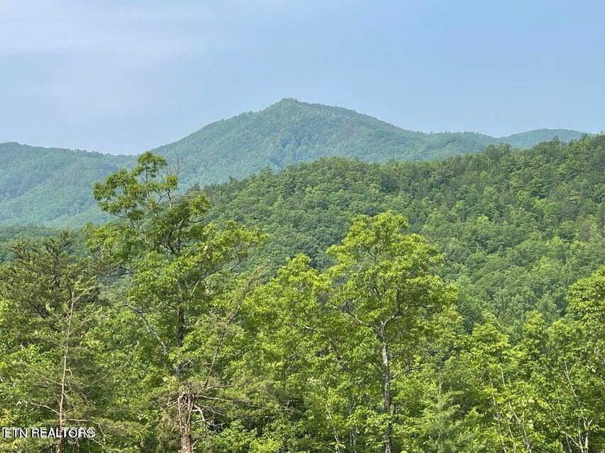 1 Caney Creek Road Sevierville, TN 37863 - Photo 1 of 1 Gallery Image 1