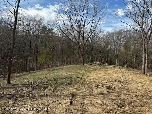 a view of a yard with trees