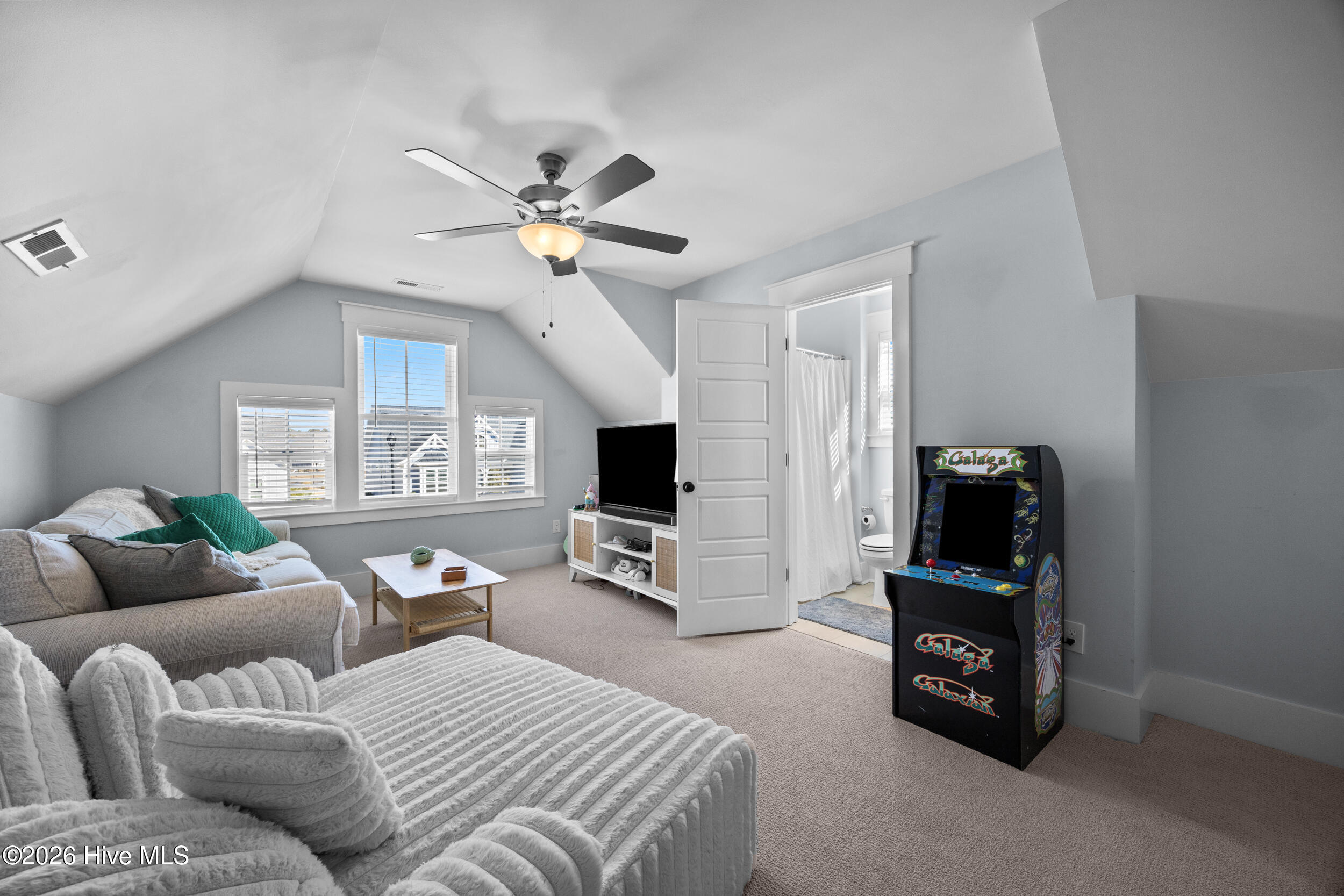 126 Jackline Drive Hampstead, NC 28443 - Photo 55 of 73 63_frog