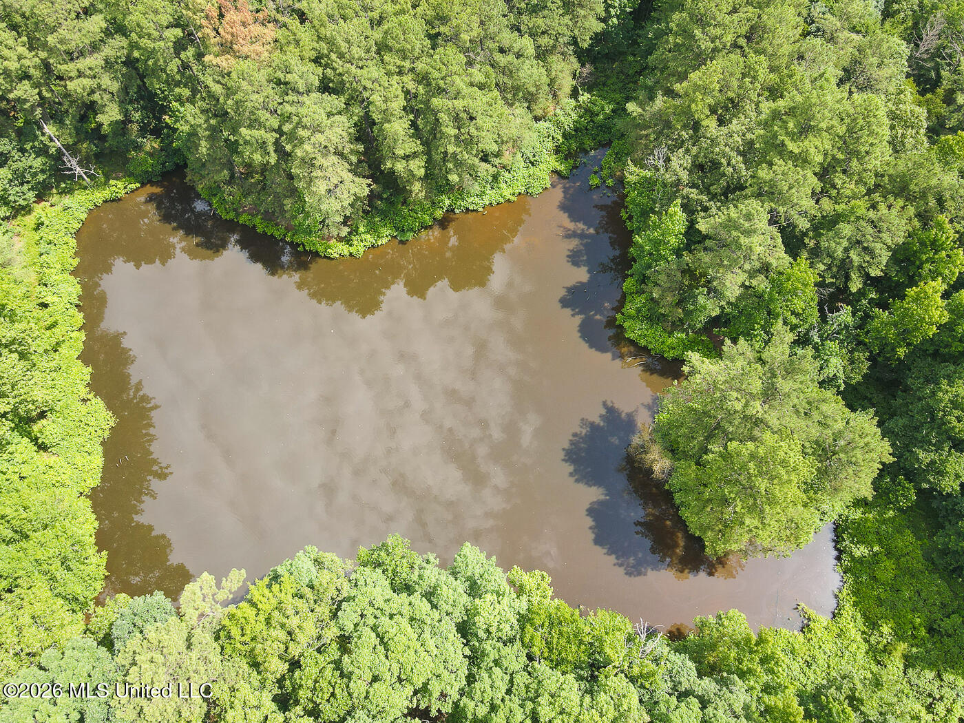 148 Red Hills Road Byhalia, MS 38611 - Photo 5 of 48 untitled-5