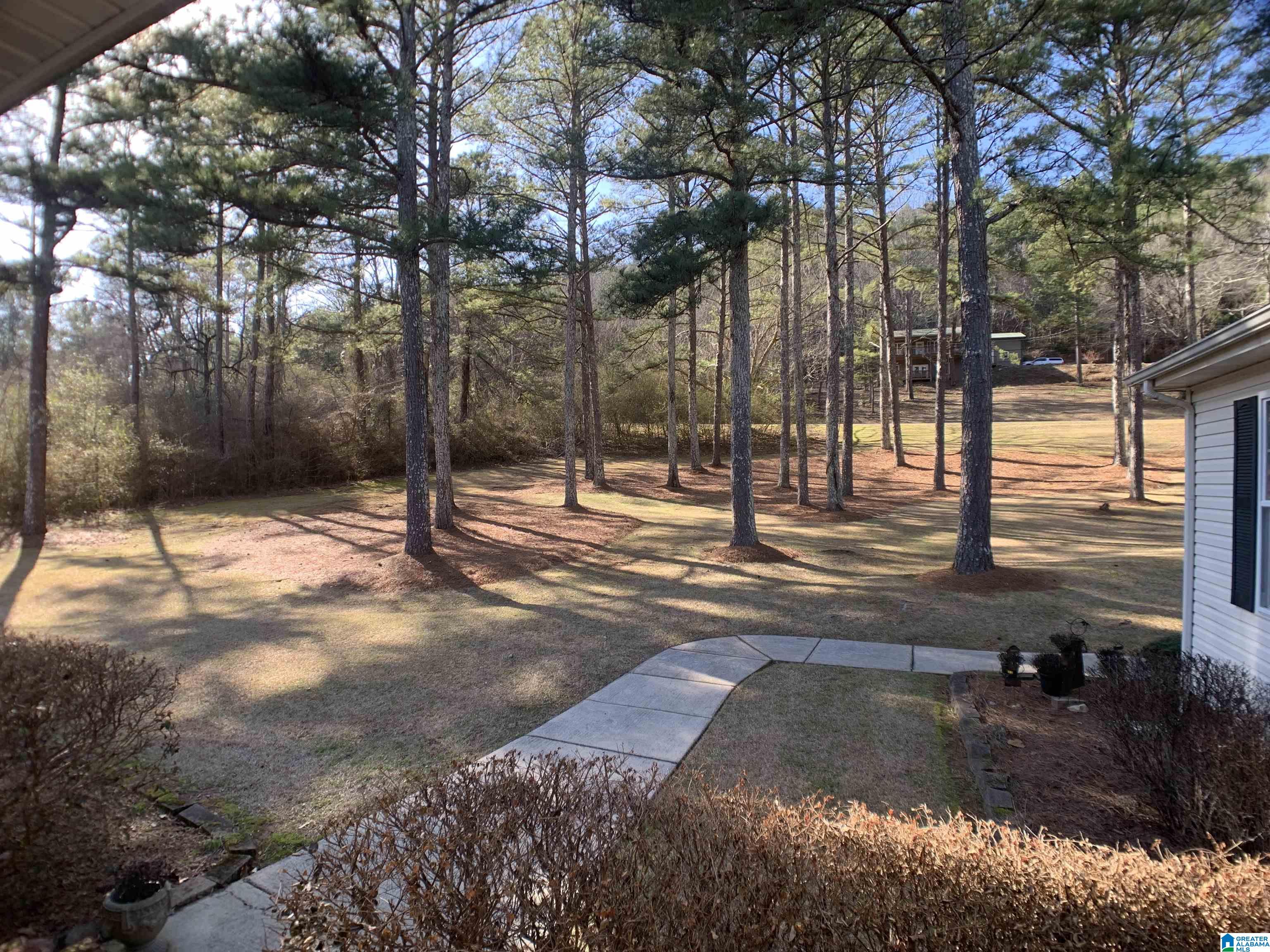 311 Oak Ridge Lane Piedmont, AL 36272 - Photo 49 of 50
