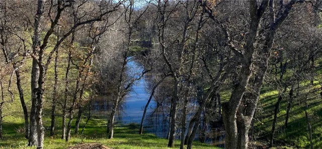 a view of a house with a tree