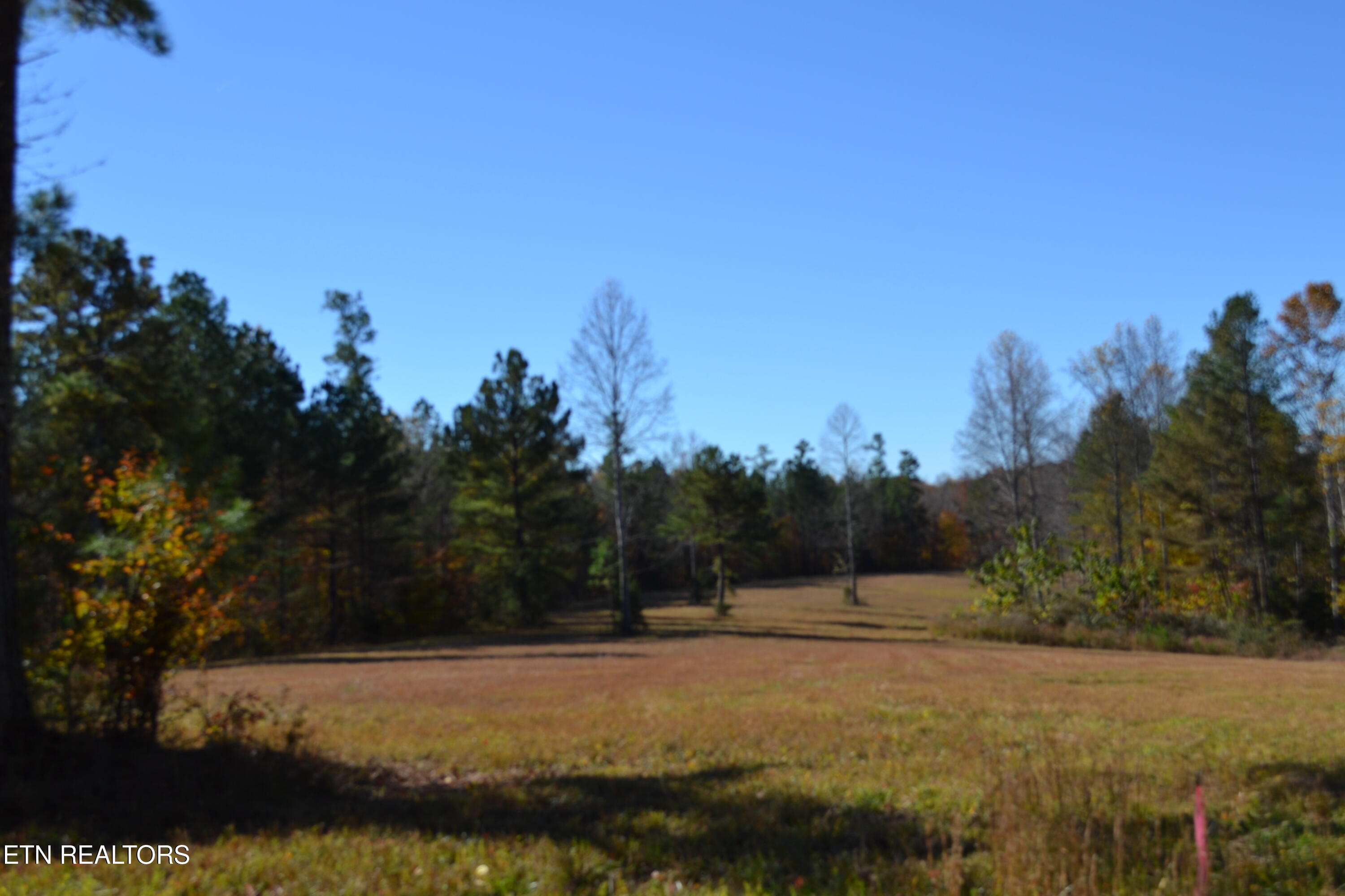 28.30-ac Whitson Hollow Road Red Boiling Springs, TN 37150 - Photo 12 of 54 DSC_0095