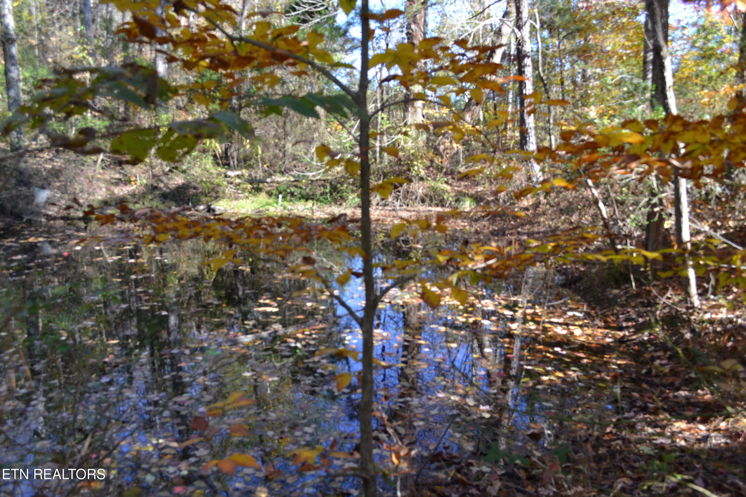 28.30-ac Whitson Hollow Road Red Boiling Springs, TN 37150 - Photo 15 of 54 DSC_0103