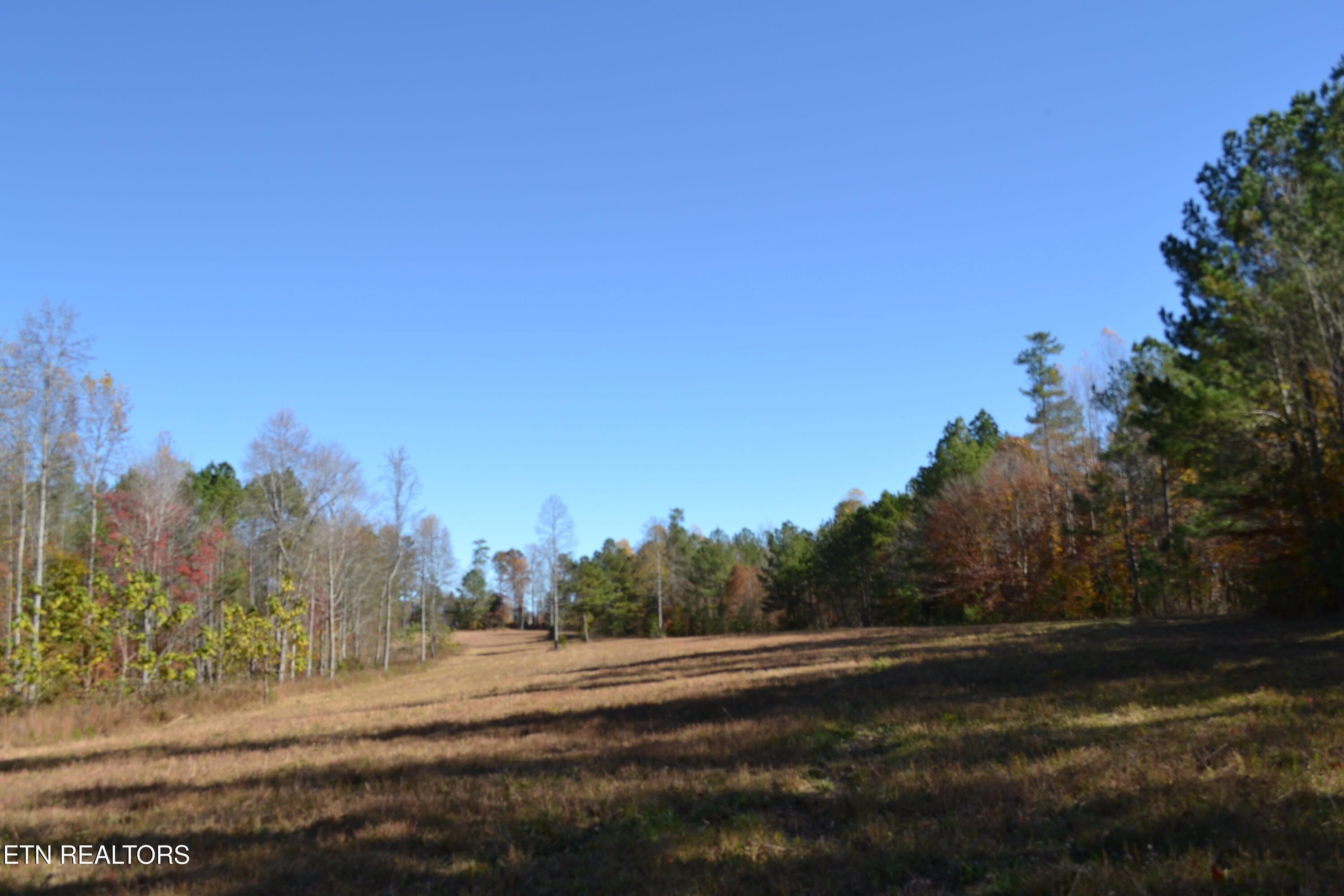 28.30-ac Whitson Hollow Road Red Boiling Springs, TN 37150 - Photo 17 of 54 DSC_0108