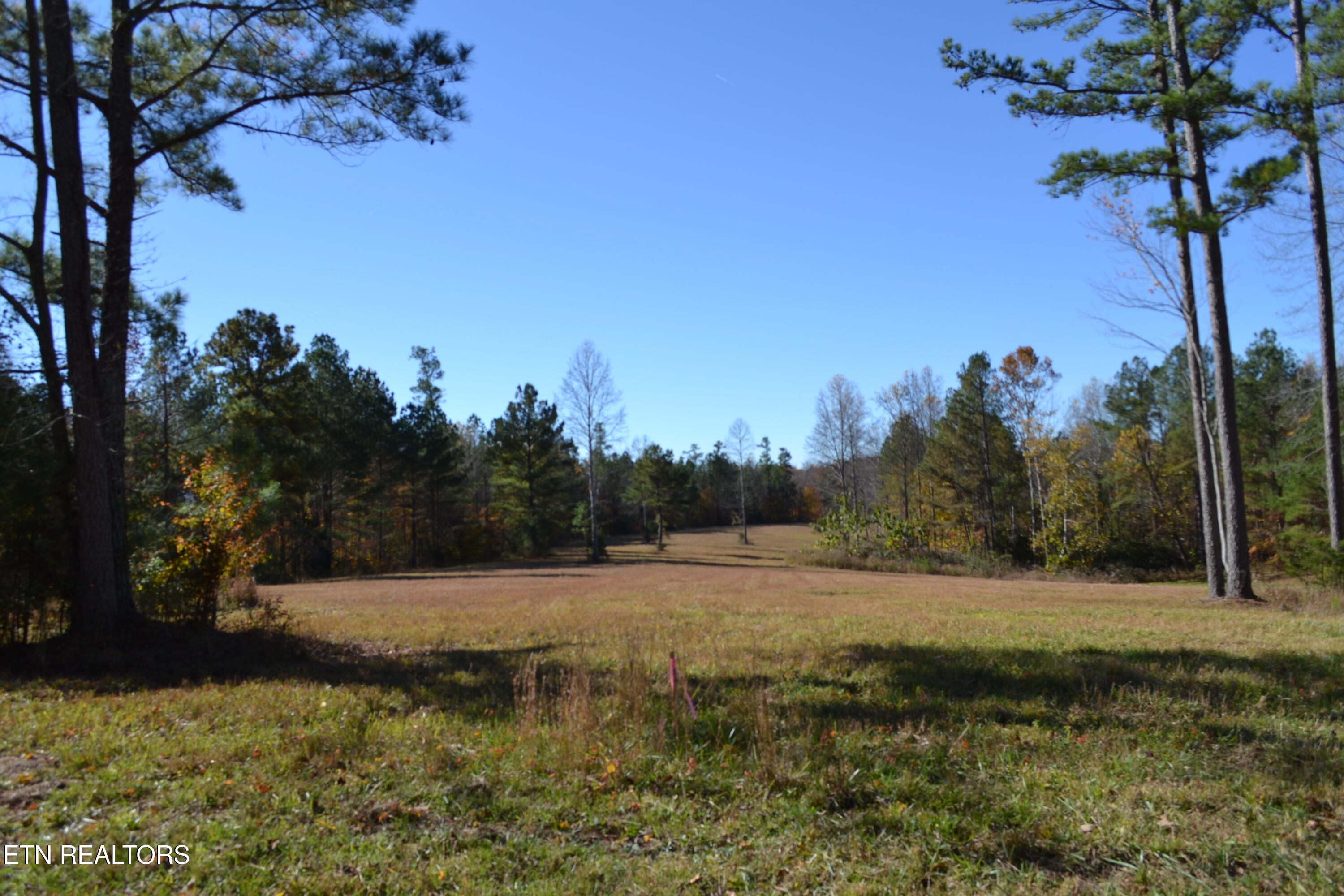 28.30-ac Whitson Hollow Road Red Boiling Springs, TN 37150 - Photo 2 of 54 USE AS MAIN