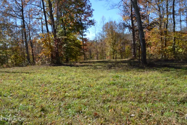 $389,000 | 28.30-ac Whitson Hollow Road, Red Boiling Springs, TN 37150